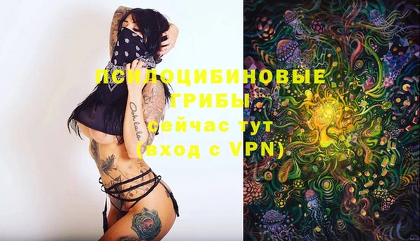 гидропоника Баксан